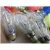 Image 2 : Flat of Assorted Bulbs / NO SHIPPING