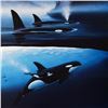 Image 2 : Orca Waters by Wyland