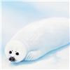 Image 2 : Harp Seals - Newborn by Wyland