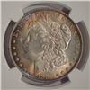 Image 3 : 1883 $1 Morgan Silver Dollar Coin NGC MS64