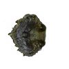 Image 3 : Wall Mounted Wolf Head Bronze Bust 17" x 13"