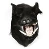 Image 2 : Wild Boar Trophy Mount, H 21", D 20"