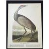 Image 2 : c1946 Audubon Print, #261 Sandhill Crane