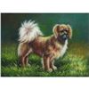 Image 1 : Oil Painting, Tibetan Spaniel Dog