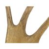 Image 2 : Vintage Moose Antler Mount