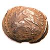 Image 2 : Bronze Coin of Constantius II (337-361 A.D.)