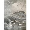 Image 2 : 19thc Engraving, Gleaners Of The Sea