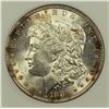 Image 2 : 1883 MORGAN SILVER DOLLAR NGP GEM BU