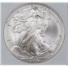 Image 2 : 2007-W AMERICAN SILVER EAGLE BURNISHED NGP