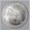 Image 3 : 2007-W AMERICAN SILVER EAGLE BURNISHED NGP
