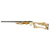 Image 1 : CZ 455 VRMNT EVO 22LR 5RD COYOTE LAM