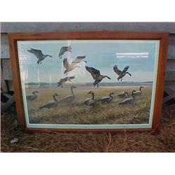 Framed Print - "Follow the Leader"