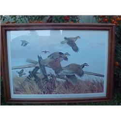 Framed Print - "Flight to Safety"