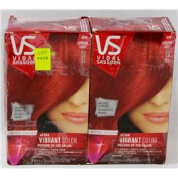 BUNDLE OF TWO HAIR COLOURS