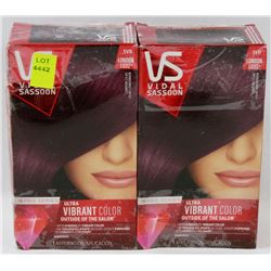 BUNDLE OF TWO HAIR COLOURS