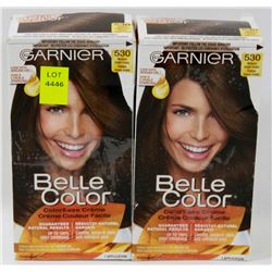 BUNDLE OF TWO HAIR COLOURS