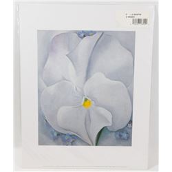 GEORGIA O'KEEFFE "WHITE PANSY" (1887-1986)