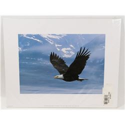 WOLFE "WATCHER OF THE SKIES"