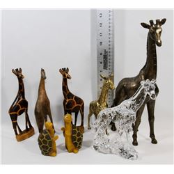 FLAT OF 6 VARIETY OF GIRAFFES