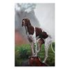 Image 1 : Hunting Dog 24x36