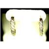 Image 1 : Diamond Hoop Earrings