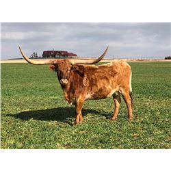 A TEMPTING HUKSTRESS