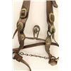 Image 2 : Fred Mueller Headstall