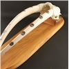Image 3 : Walrus Tusk Mount with Scrimshaw