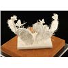 Image 1 : Paper Sculpture by Patty Eckman