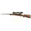 Image 2 : Winchester Model 70 SA .243 Win SN G2587221