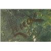 Image 3 : Original Oil on Canvas by August Lenox