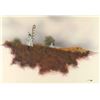 Image 1 : Original Acrylic on Paper by Robert Redbird