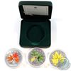 Image 1 : 2001, 2005 & 2006 Canada Coloured $5 1oz Silver Maple Leaf coins (Tax Exempt). Coins come encapsulat
