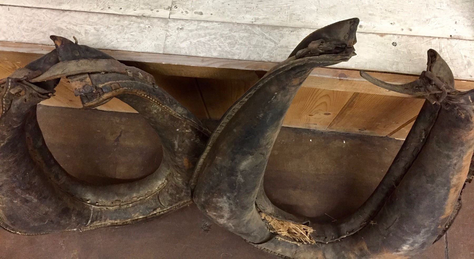 Pair of Antique Horse Collars