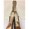 Image 14 : Antique Rocking Horse