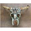 Image 8 : Highly Decorated Cow Skull