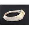 Image 2 : Prehistoric Shell Bracelet