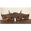 Image 8 : Cow Horn Rack