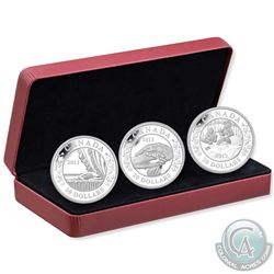 2013 Canada $20 Birth of the Royal Infant Fine Silver 3-Coin Set (Tax Exempt)