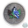 Image 1 : 2015 Canada $5 Coloured 'Blue Jay' Antique Finish 1oz Fine Silver Maple (Tax Exempt)
