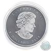 Image 2 : 2015 Canada $5 Coloured 'Fighter Jet' Antique Finish 1oz Fine Silver Maple (Tax Exempt)