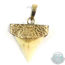14K Yellow Gold Shark Tooth Pentant.  Measures 1 1/4" in length with a total weight of 2.03 grams.