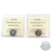 Image 2 : 2000 Missing DH & 2004P NBU Golf 10-cent both ICCS Certified MS-67. 2pcs