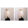Image 1 : DEAD OWL