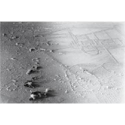 ELEVAGE DE POUSSIERE (GRAND VERRE DE MARCEL DUCHAMP) (BREEDING DUST)
