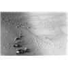 Image 1 : ELEVAGE DE POUSSIERE (GRAND VERRE DE MARCEL DUCHAMP) (BREEDING DUST)