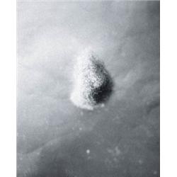 no title nos. 1-13 (DUST)