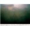 Image 5 : STILL WATER (THE RIVER THAMES, FOR EXAMPLE)