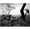 Image 1 : HYENA – JACKAL – VULTURE