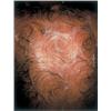 Image 1 : VAN GOGH’S BACK